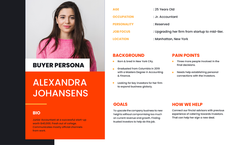 b2b buyer persona - sample